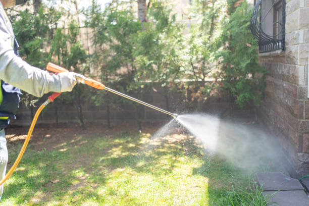  Orting, WA Pest Control Pros
