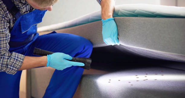 Best Bed Bug Extermination  in Orting, WA