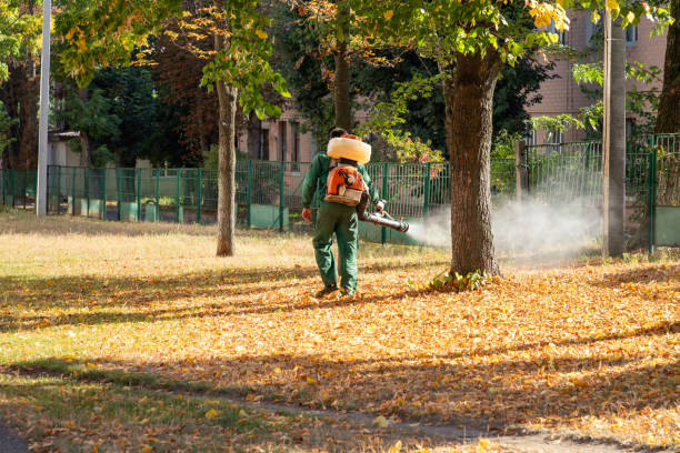 Best Spider Control Near Me  in Orting, WA
