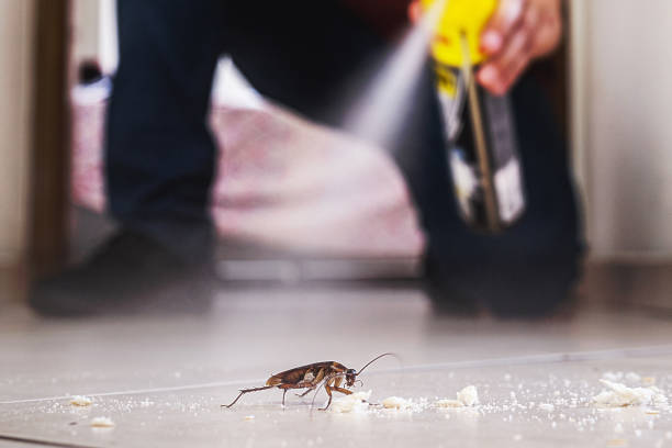 Orting, WA Pest Control Company