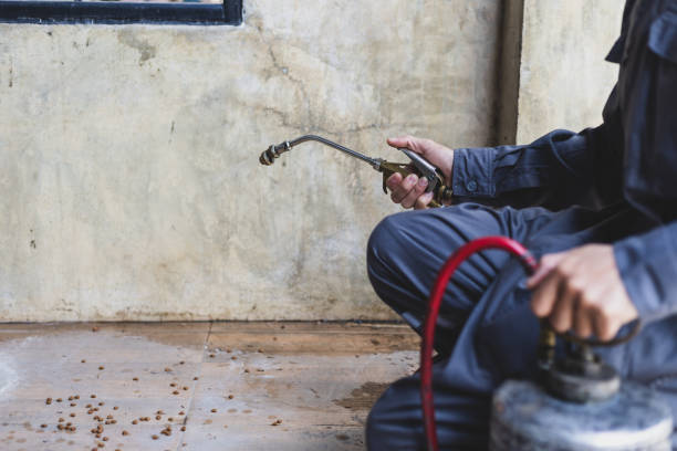 Best Pest Control for Businesses  in Orting, WA